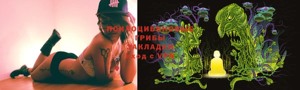 трава Новодвинск
