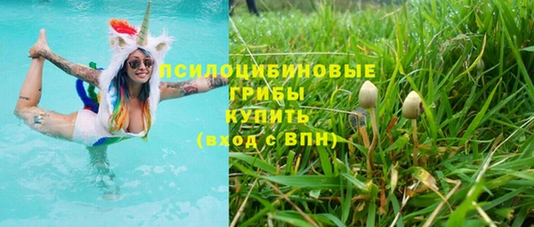 трава Новодвинск