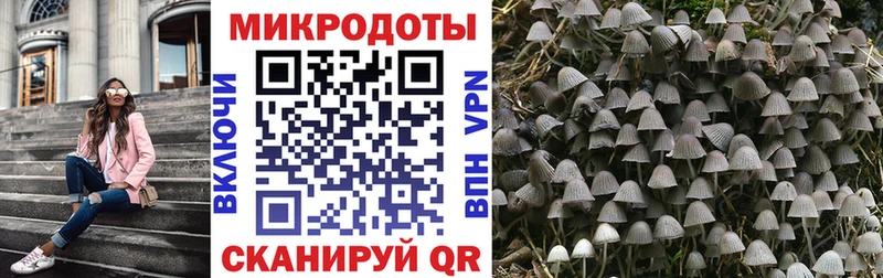 Купить закладки  Мензелинск  Галлюциногенные грибы Cubensis 